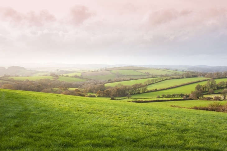 Lush rolling green English countryside